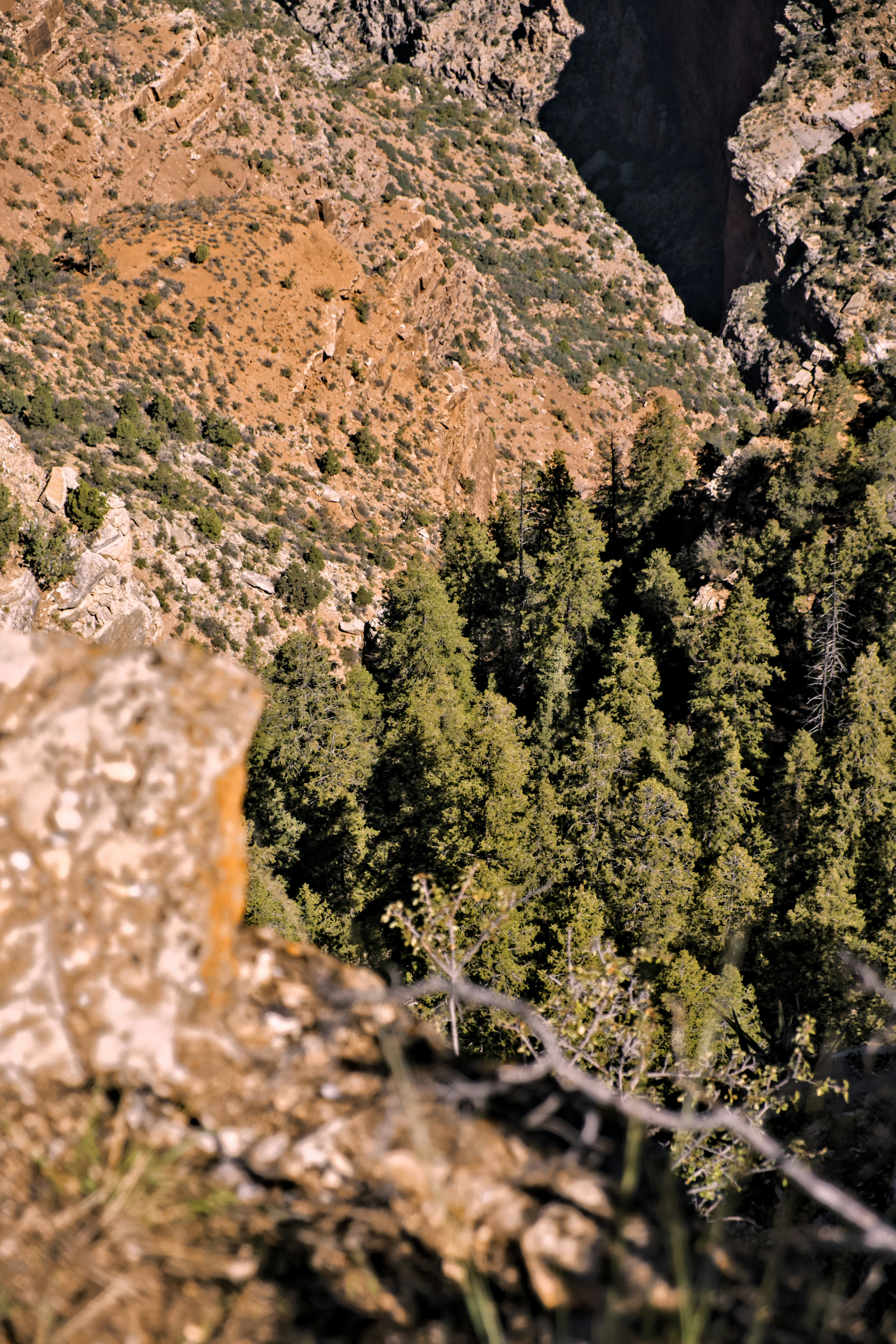 desert canyon wallpaper, wallpaper, Best Canyons for Rugged Desert Camping 2