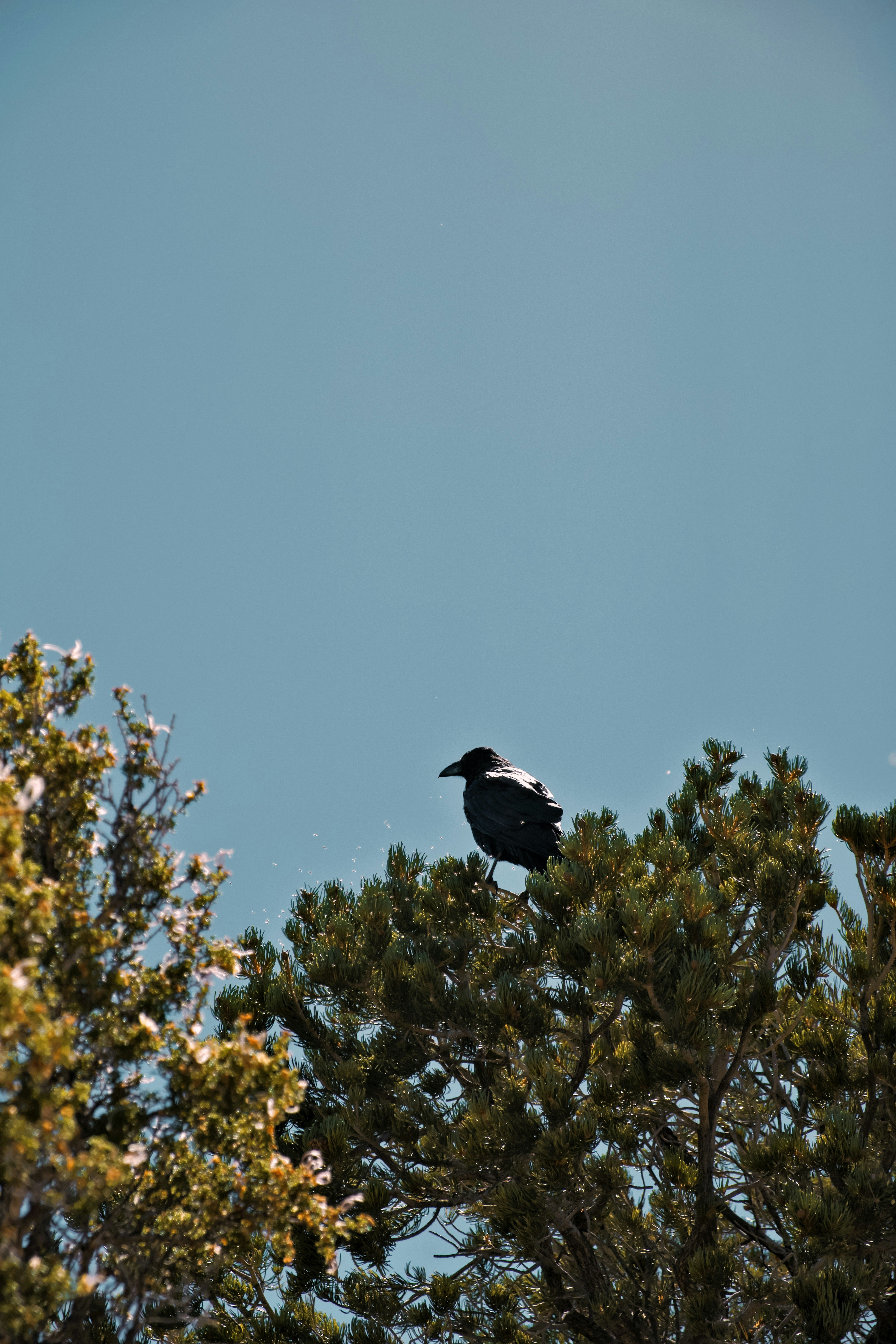 Photo by nikoflicksphotography