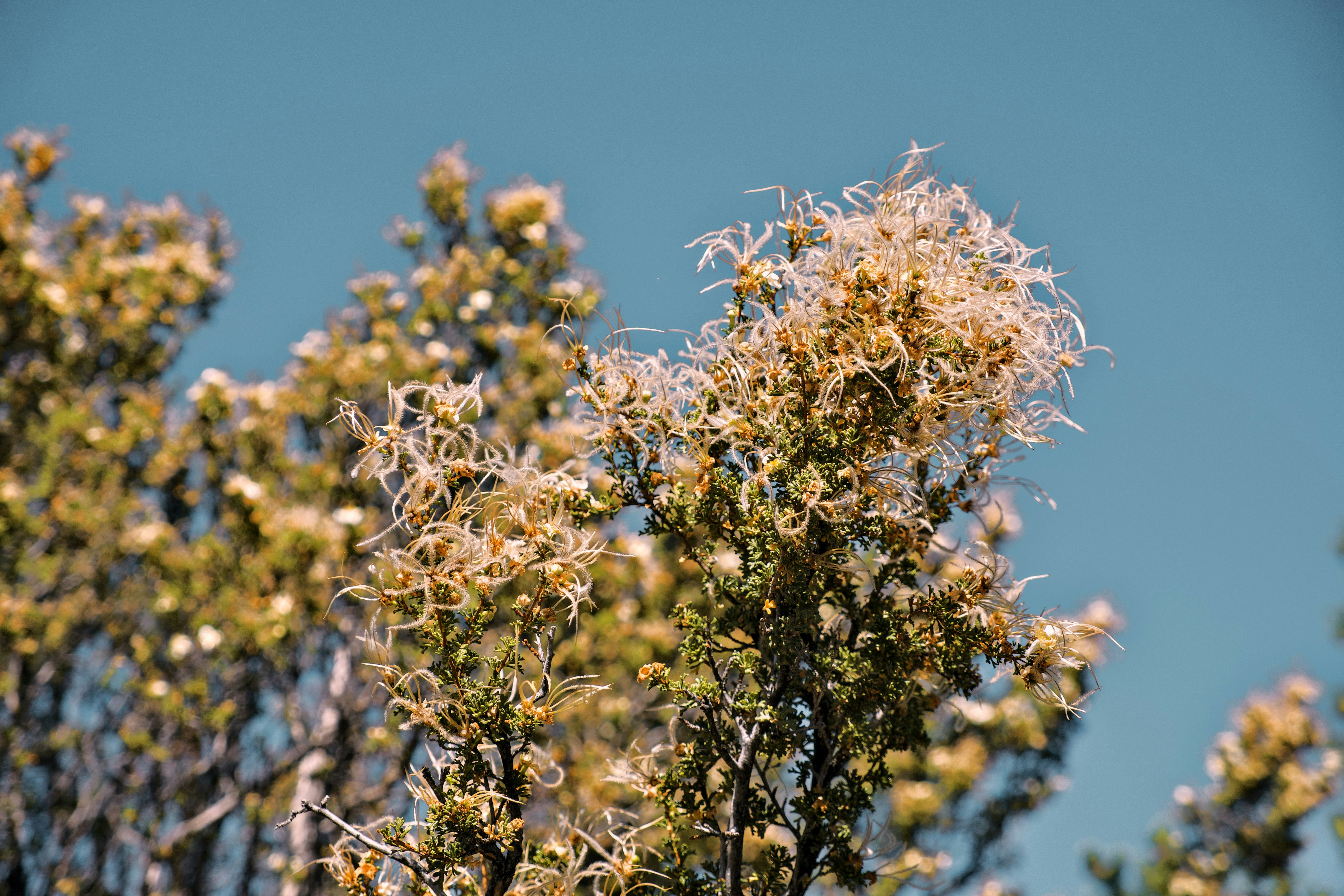 Photo by nikoflicksphotography