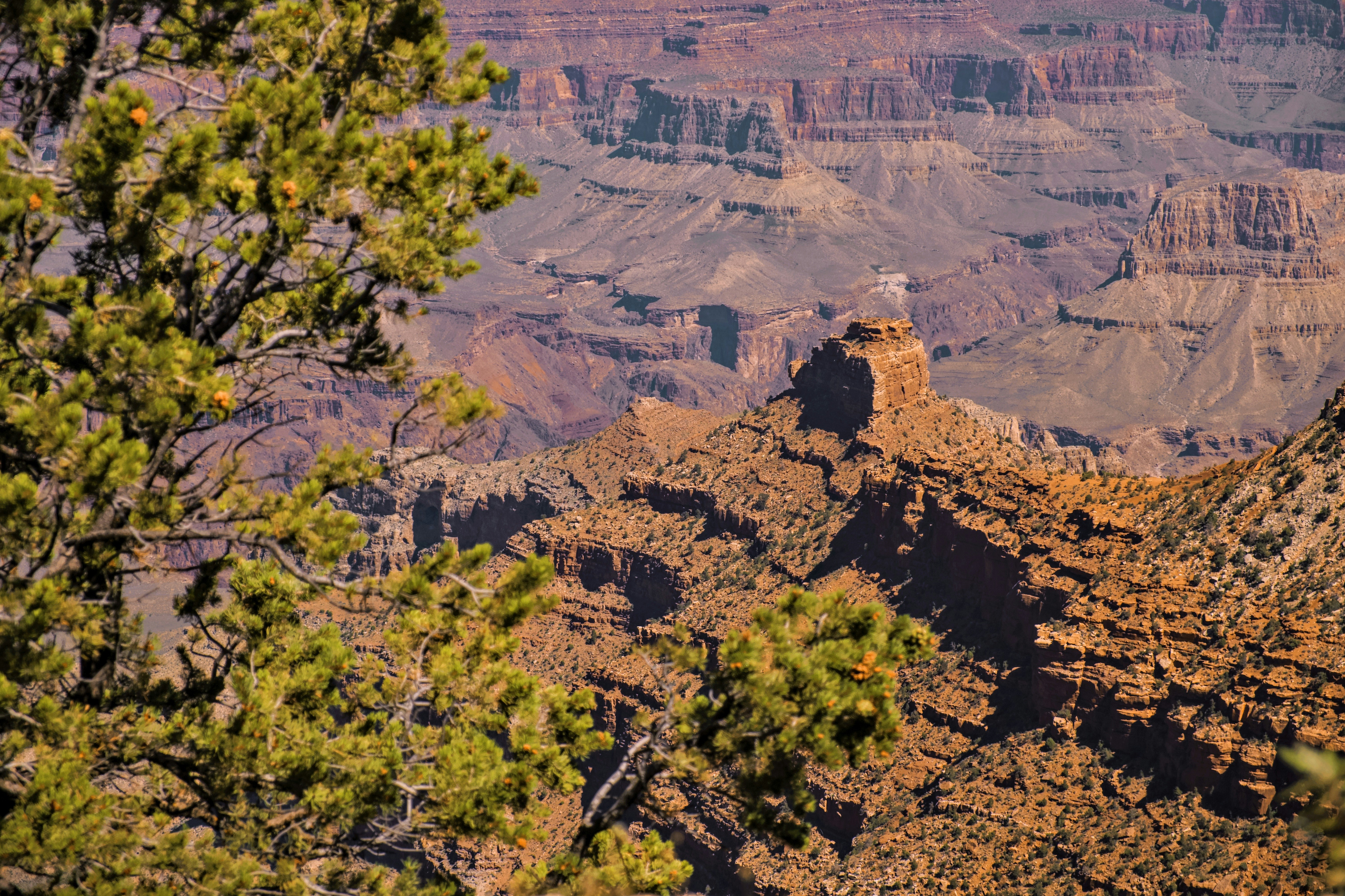 Best Canyons for Rugged Desert Camping