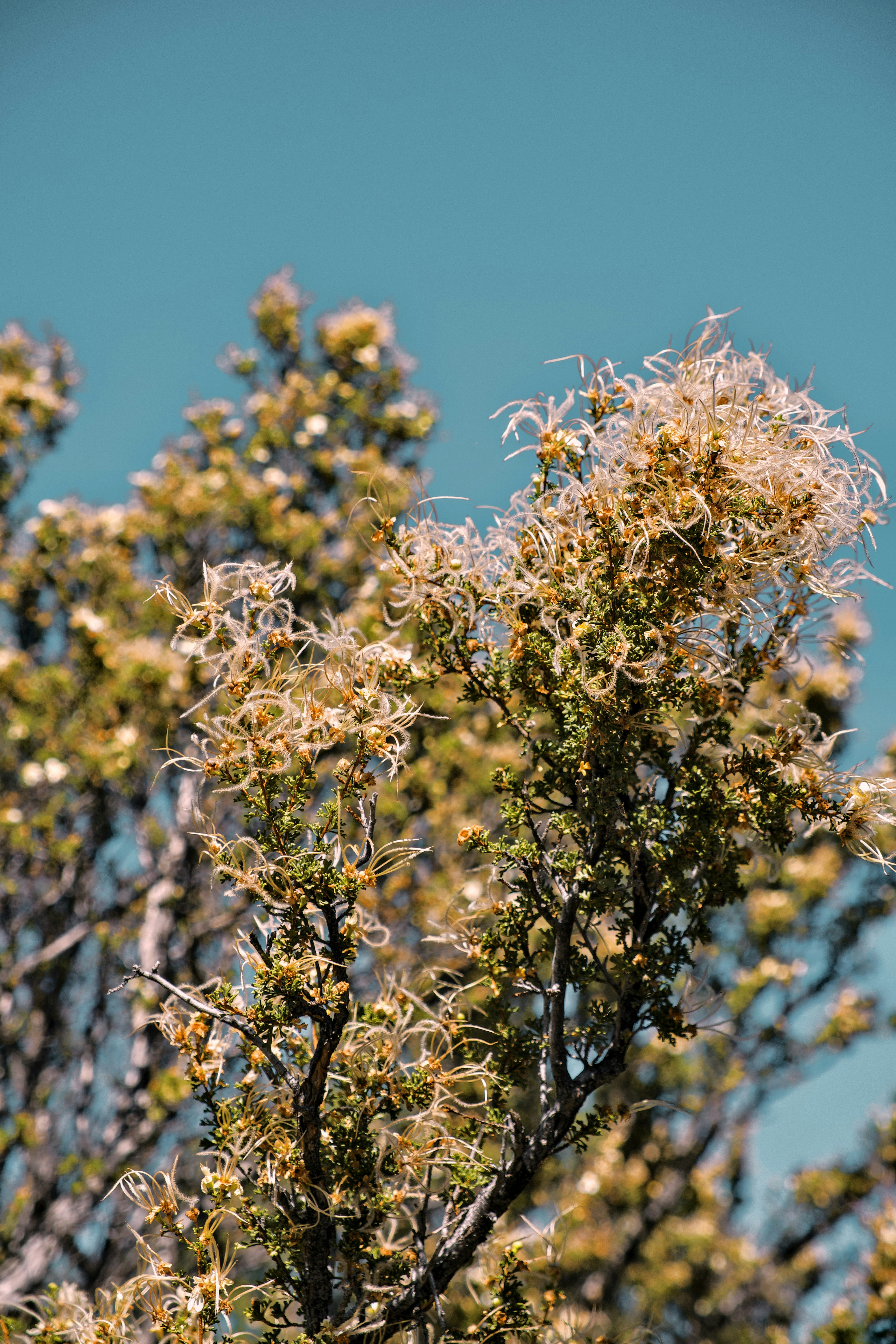 Photo by nikoflicksphotography