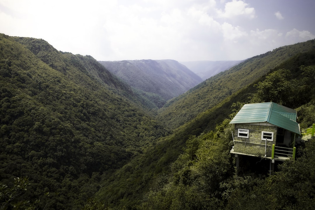 a house in the middle of a lush green valley, Dream house amidst the scenic valley.