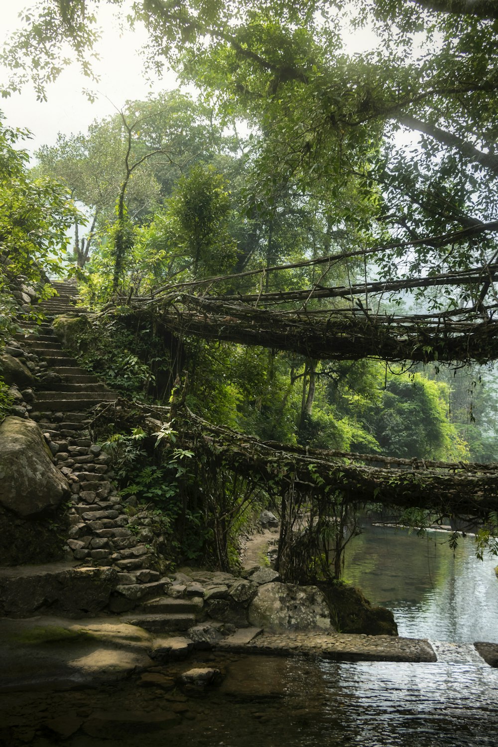 a wooden bridge over a river surrounded by trees