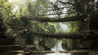 a bridge over a river surrounded by trees