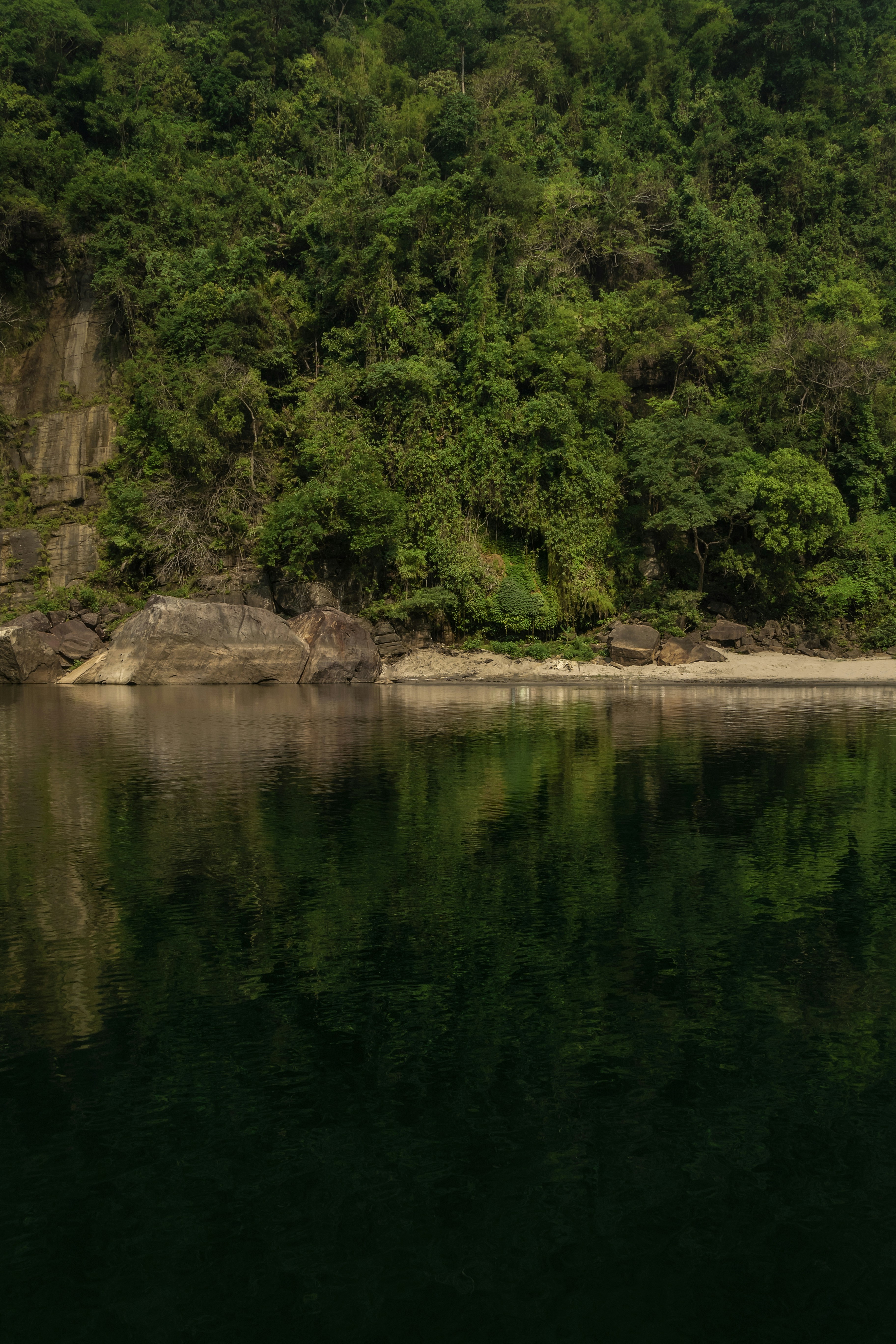 Photo by chirvisuals