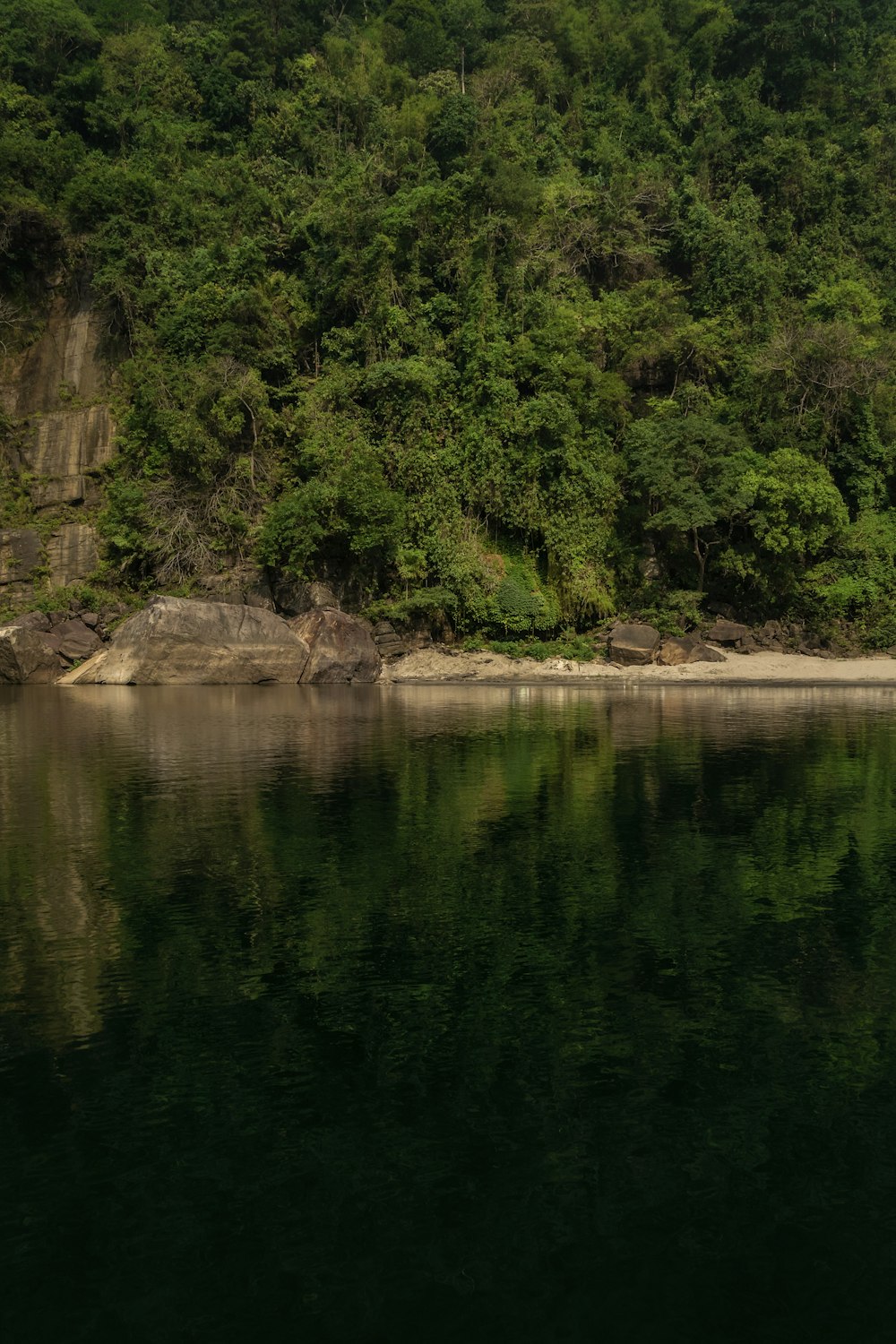 a body of water surrounded by a lush green hillside