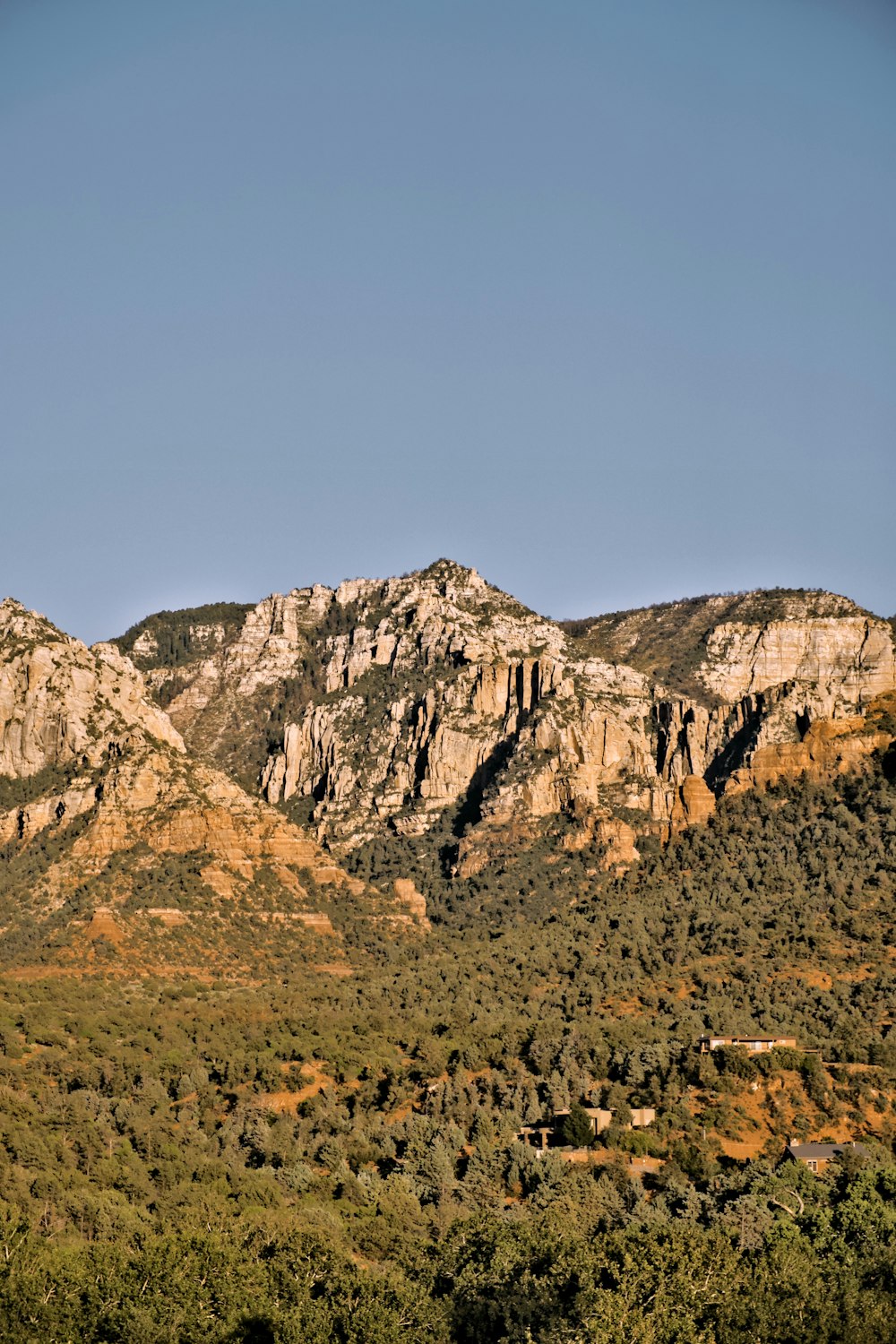 a view of a mountain range with trees in the foreground