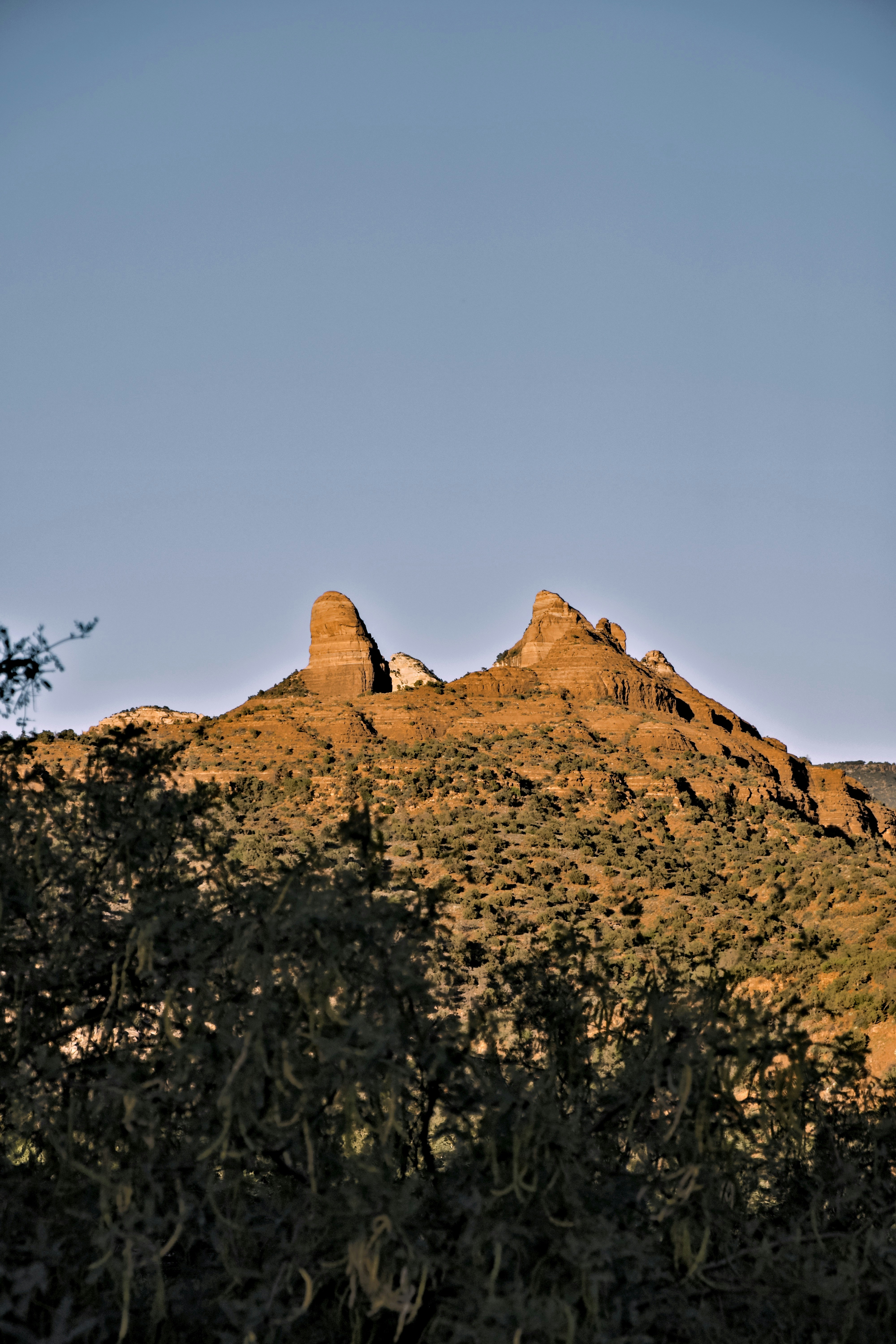 Photo by nikoflicksphotography