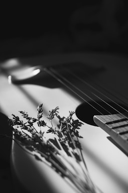 a black and white photo of a guitar
