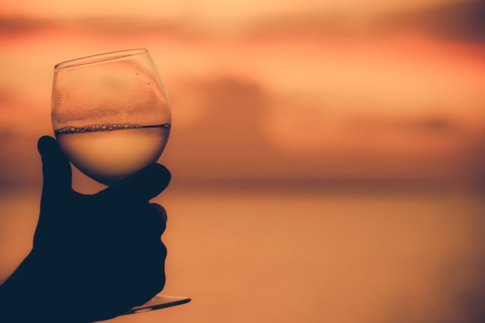 a person holding a wine glass in their hand