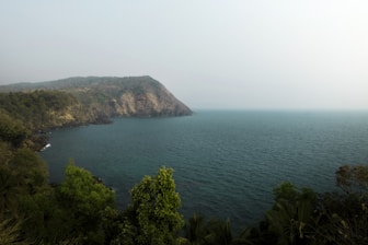 a large body of water surrounded by trees