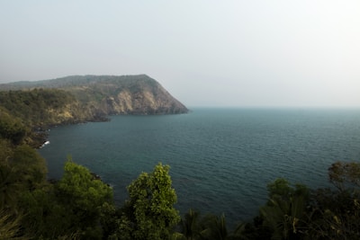 a large body of water surrounded by trees