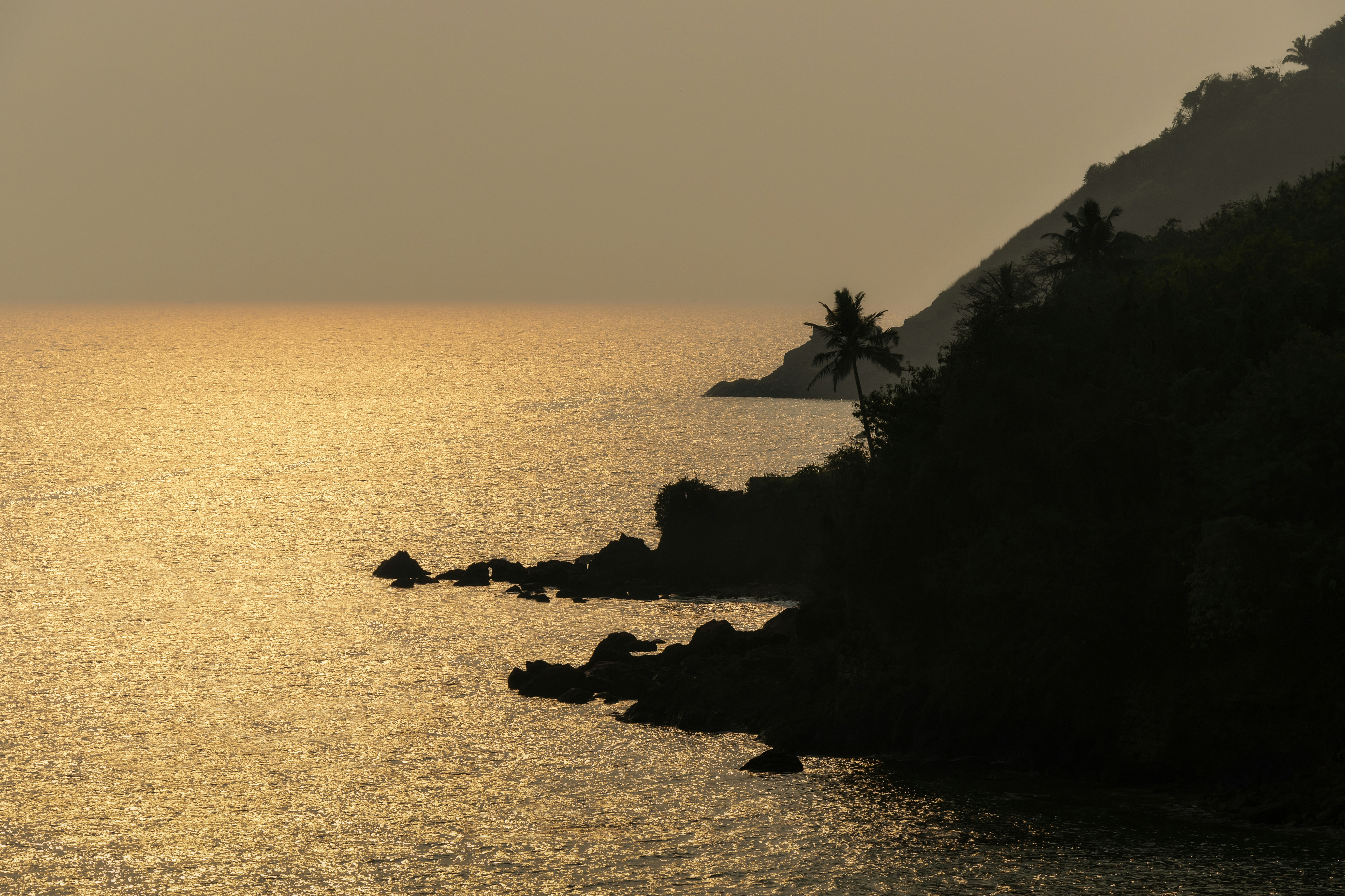 Photo by chirvisuals