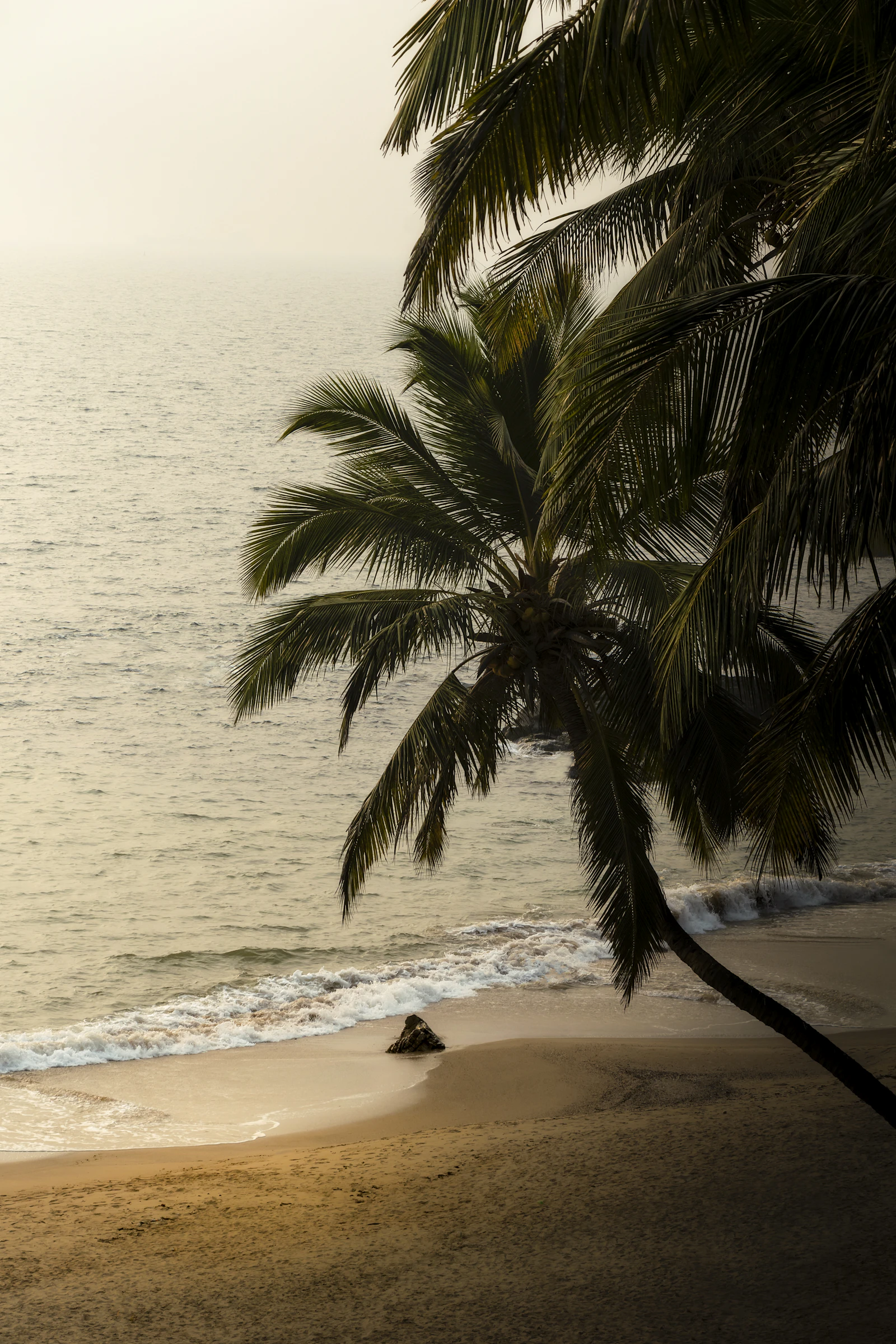 Goa — Sun, Sand & Susegad