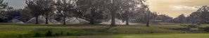 A lush landscape featuring a well-maintained golf course with large trees in the foreground. Sprinklers are actively watering the grass, creating arcs of water. In the distance, there's a small pond and golf carts suggesting leisure and recreation activities.
