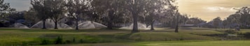 A lush landscape featuring a well-maintained golf course with large trees in the foreground. Sprinklers are actively watering the grass, creating arcs of water. In the distance, there's a small pond and golf carts suggesting leisure and recreation activities.