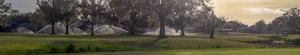A lush landscape featuring a well-maintained golf course with large trees in the foreground. Sprinklers are actively watering the grass, creating arcs of water. In the distance, there's a small pond and golf carts suggesting leisure and recreation activities.