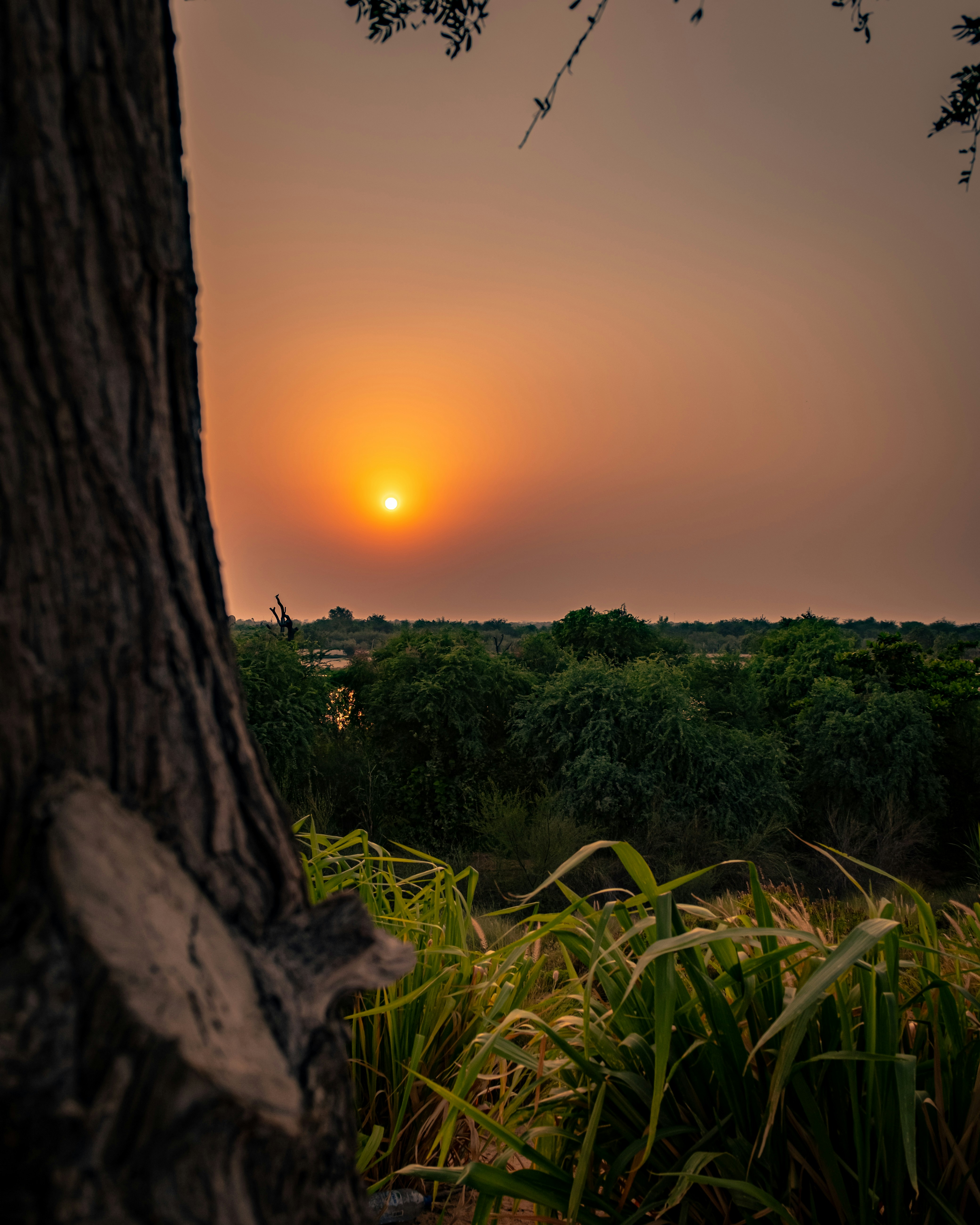 Photo by v91_photography