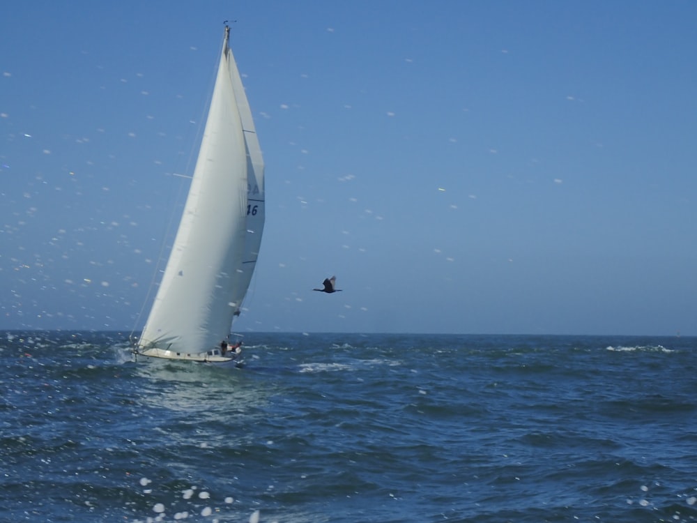 a sailboat in the middle of a body of water