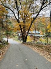 A winding country road lined with colorful autumn trees, inviting discovery.