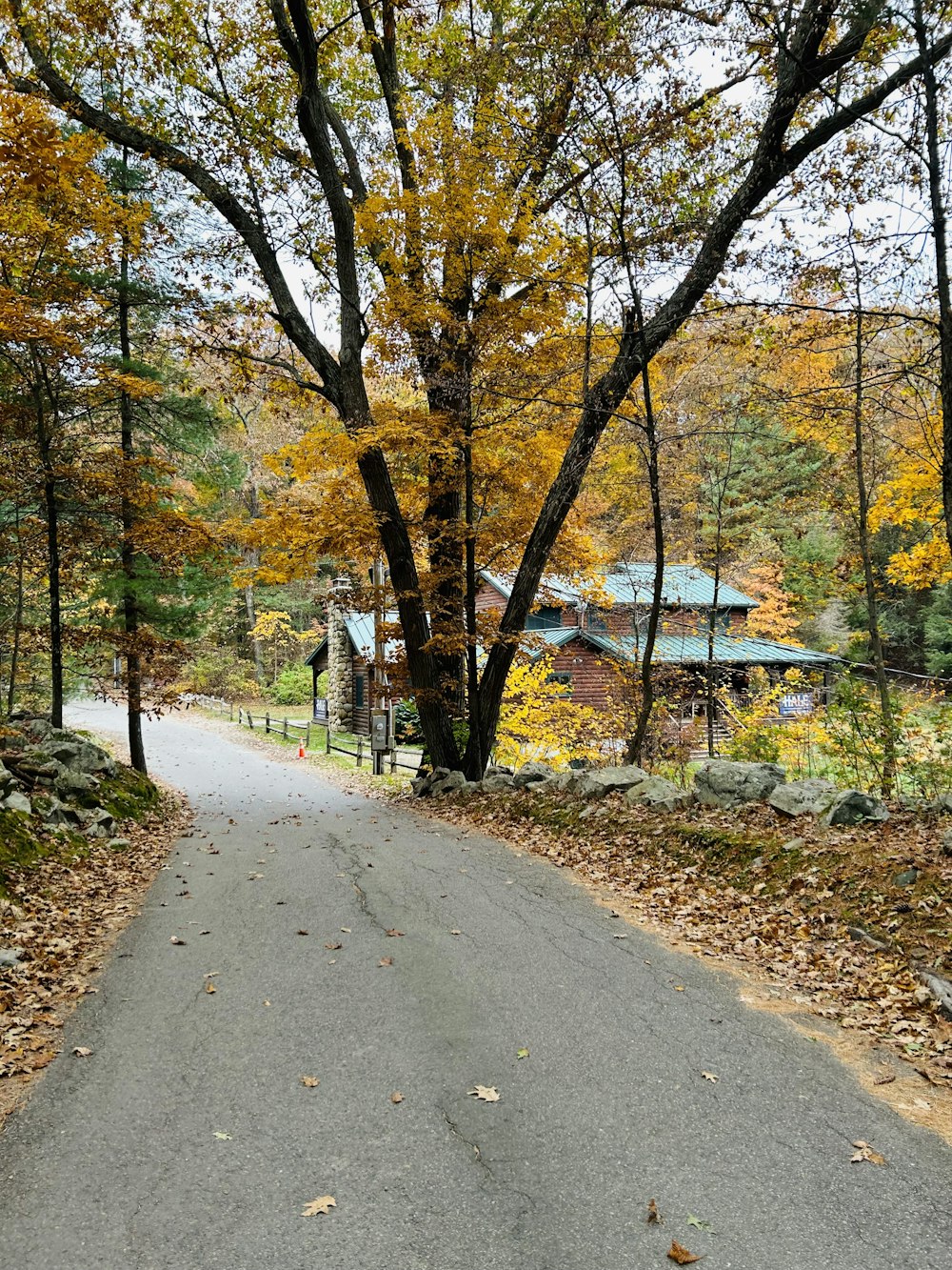 a road in the middle of a wooded area