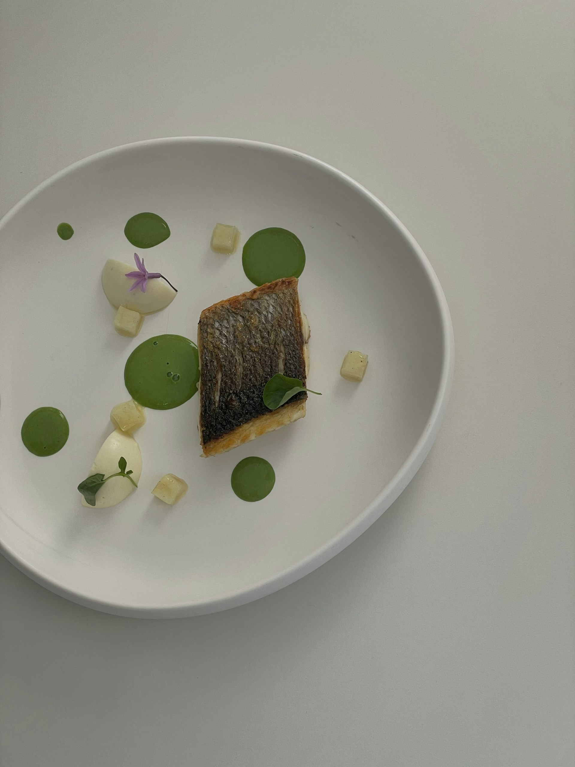 A minimalist plate of food featuring a piece of fish with crispy skin, served with creamy elements and small green circular garnishes. There are also cubes and a small vibrant flower, all presented on a plain white plate.