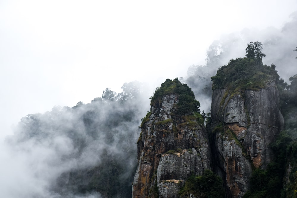 a mountain covered in fog with trees on top of it