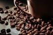 A close-up view of roasted coffee beans scattered around a brown ceramic coffee cup. The beans have a rich, dark brown color and a glossy finish, suggesting freshness and quality.