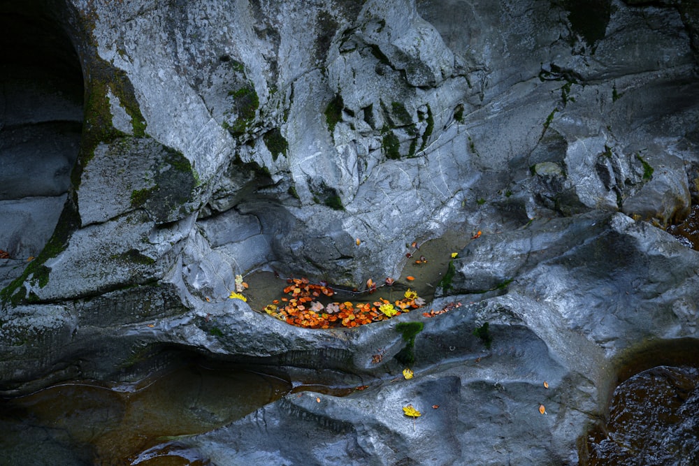a cave filled with lots of yellow and orange rocks
