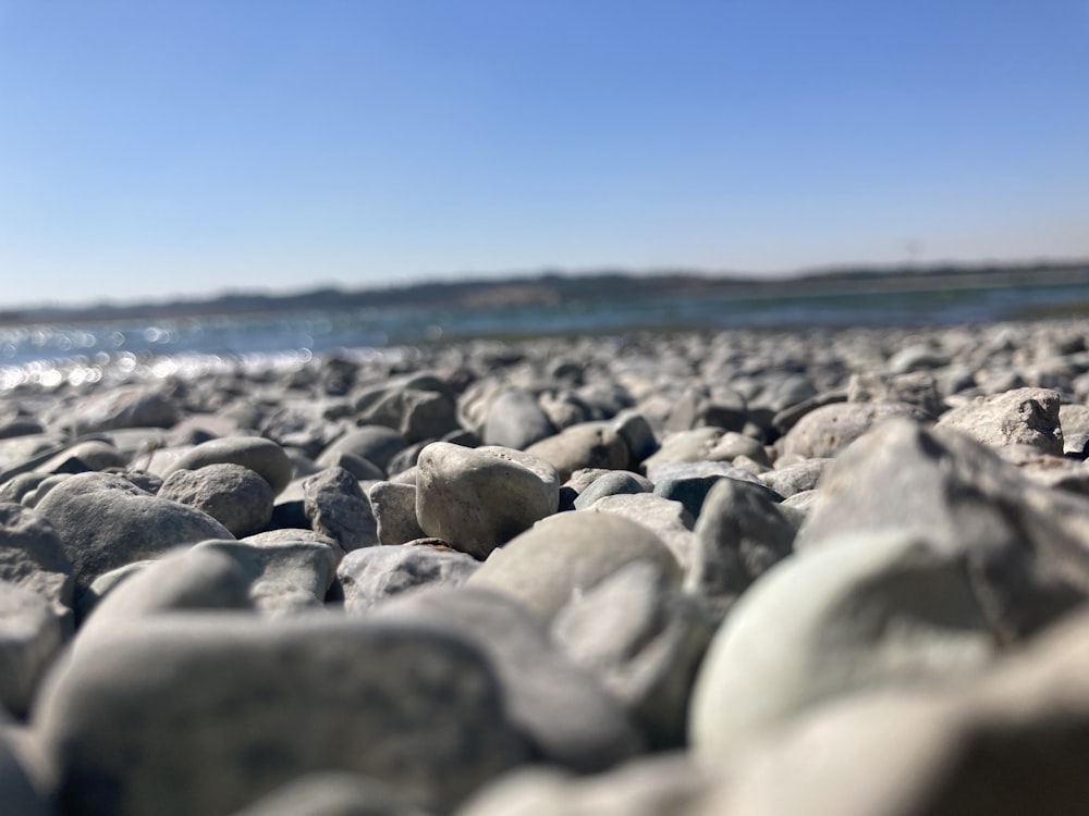 a close up of rocks on a beach with water in the background