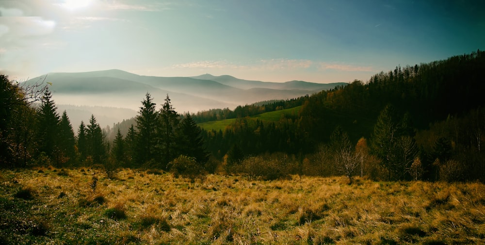 a grassy field with trees and mountains in the background