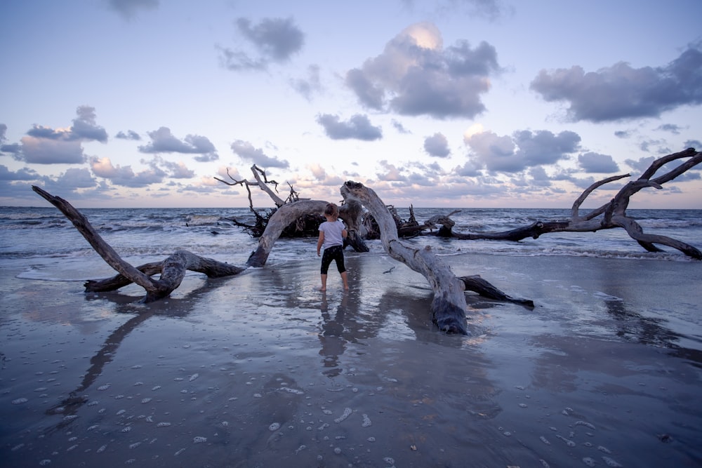 a woman standing on a beach next to a fallen tree