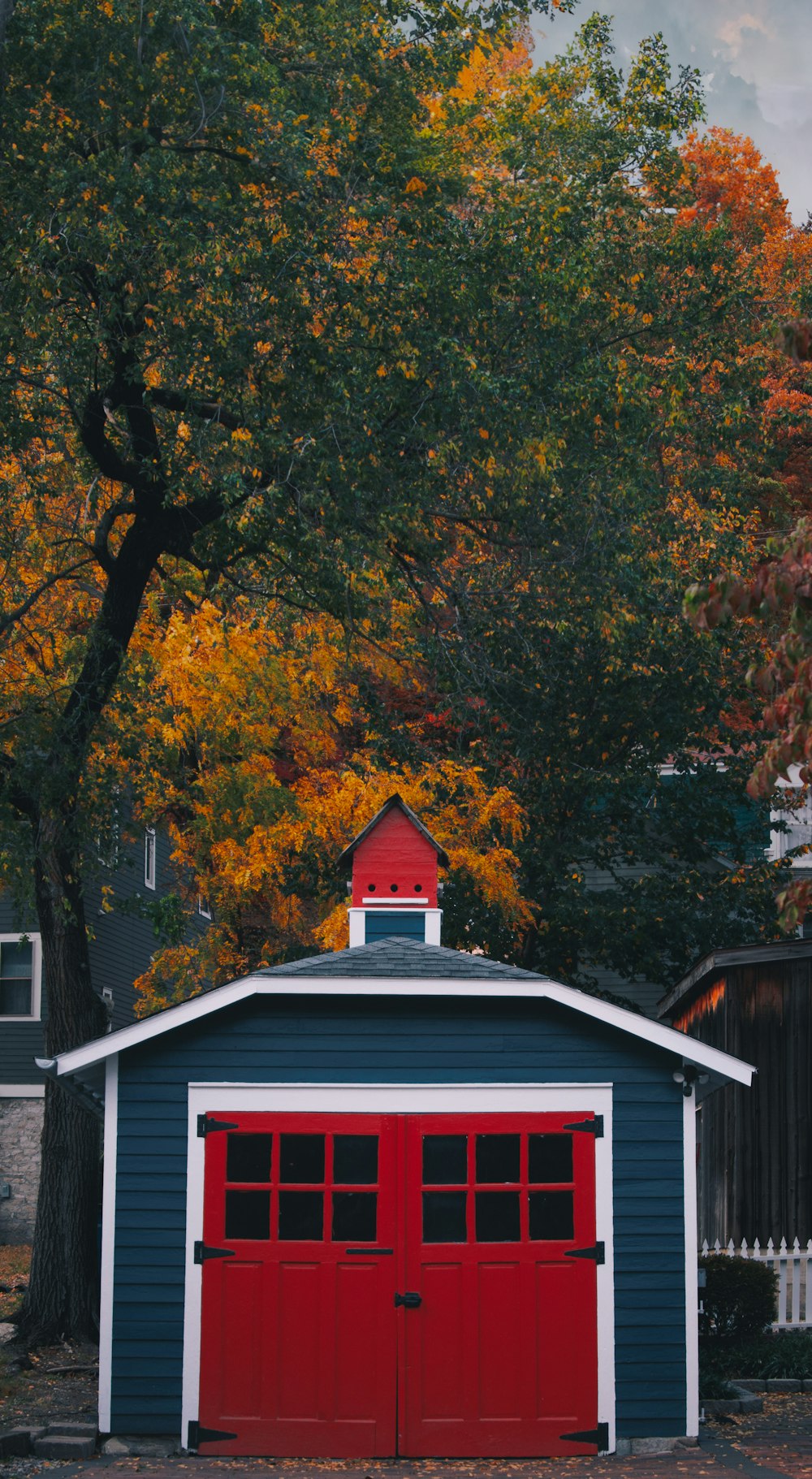 a red and blue garage sitting next to a tree