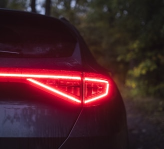 the tail lights of a car in the woods