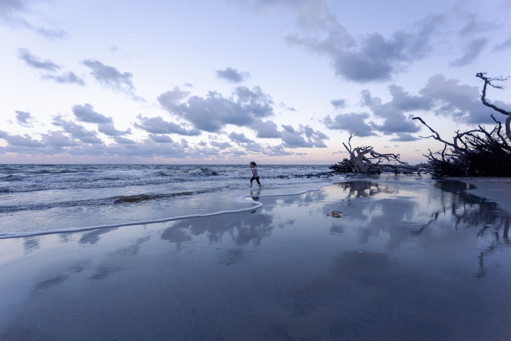 a person standing on a beach next to the ocean