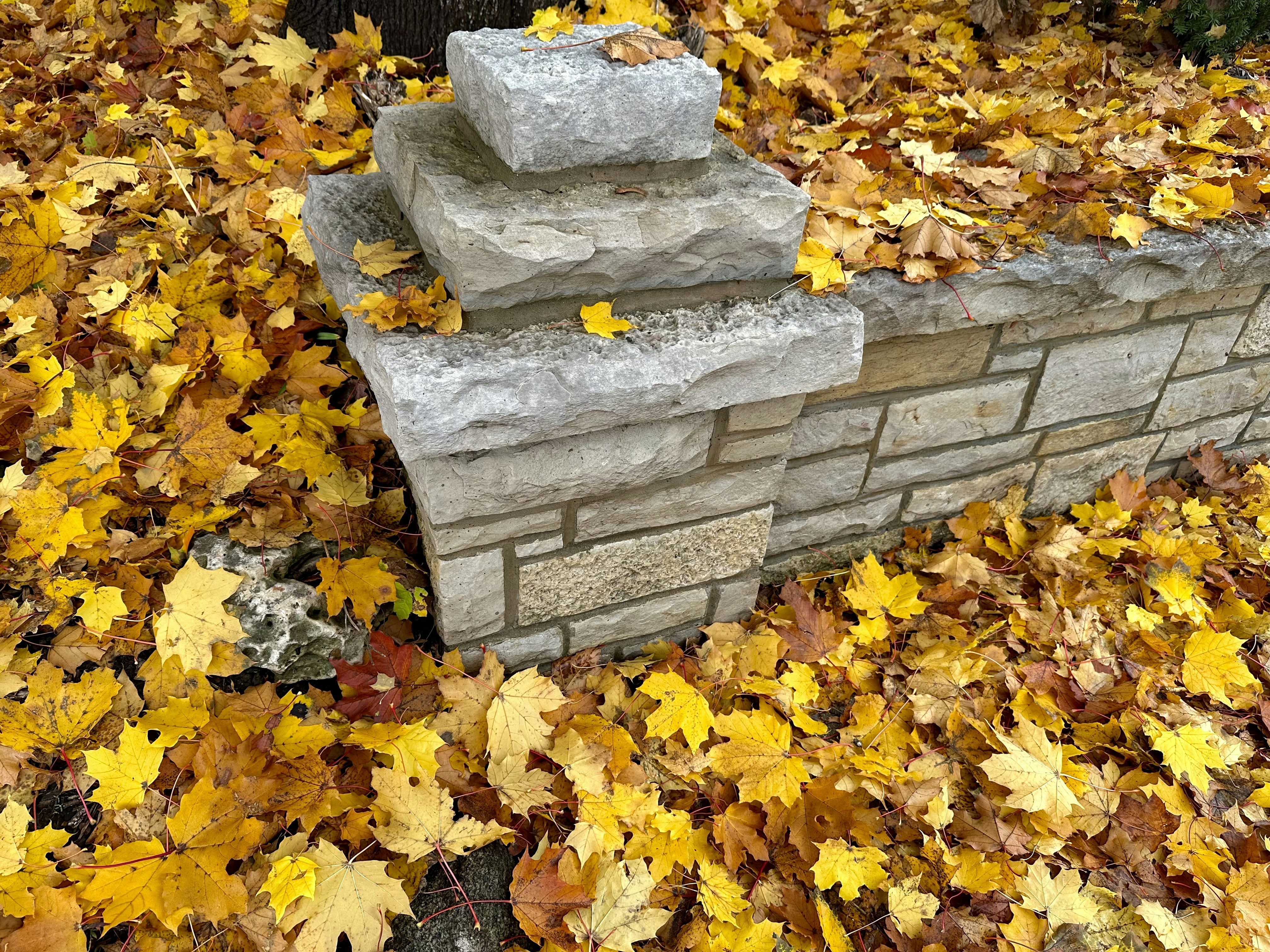 a fire hydrant sitting on top of a pile of leaves