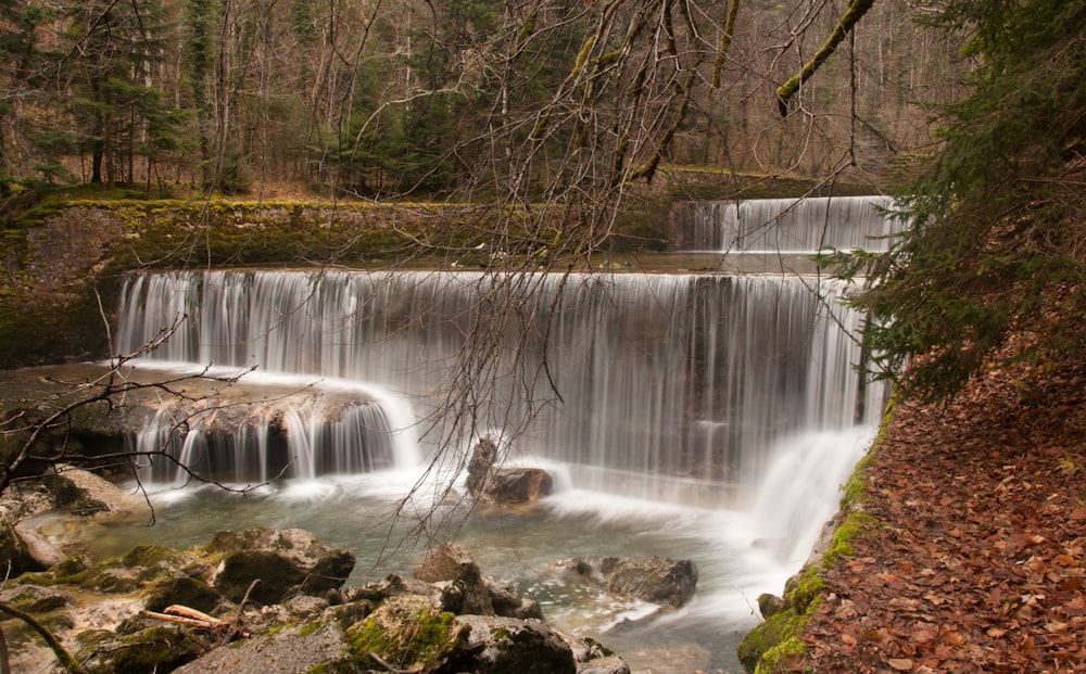 a waterfall in a forest with lots of water