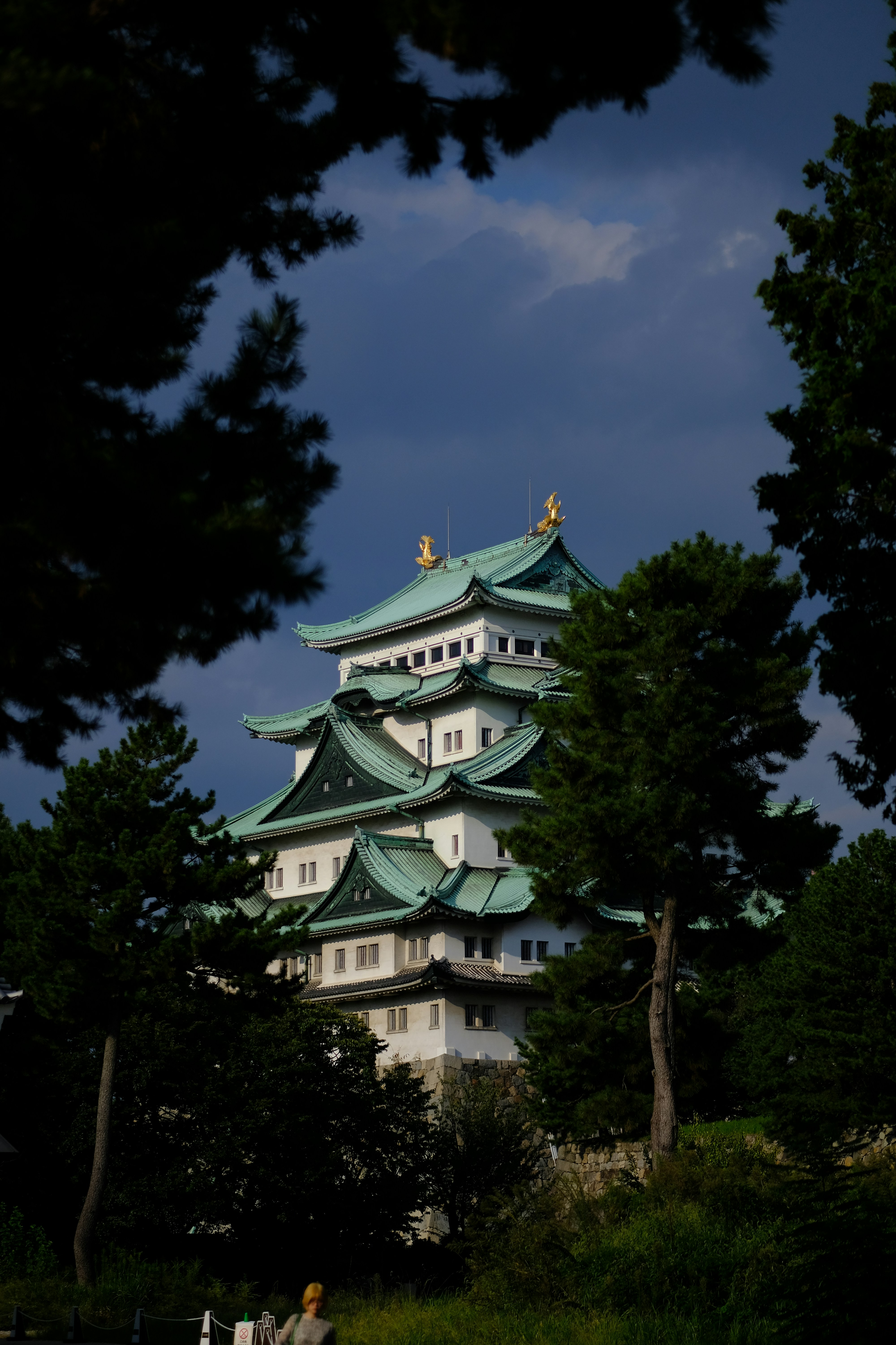 Photo by zaralazarov