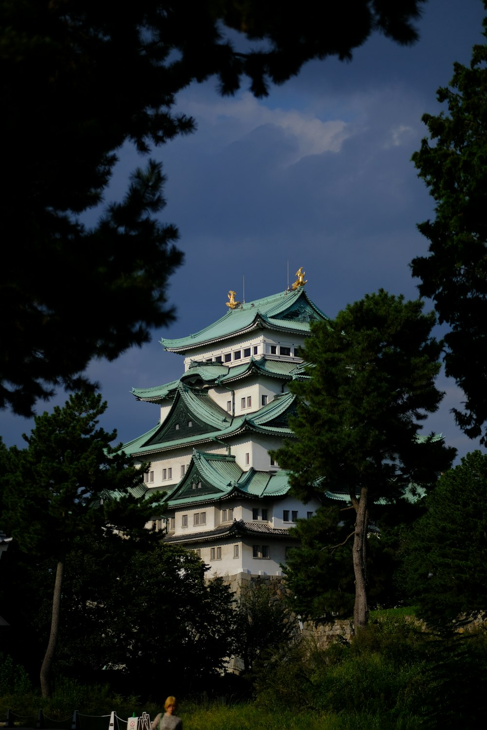 a tall white and green building surrounded by trees