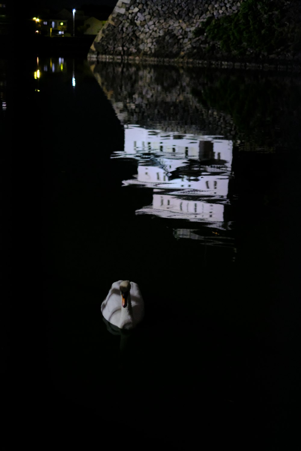 a white boat floating on top of a body of water