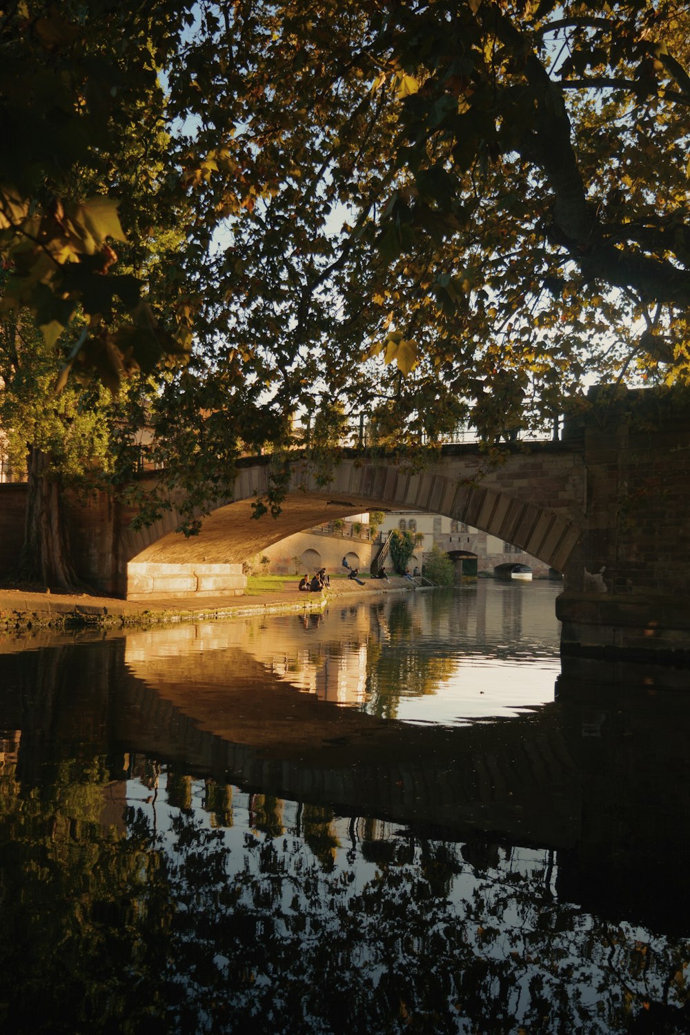 a bridge over a body of water surrounded by trees