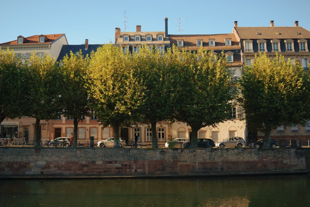 a row of trees on the side of a river