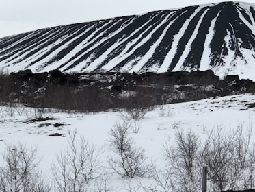 A snow-covered landscape with a prominent black slag heap displaying striking vertical lines of snow and earth. Sparse, leafless shrubs are scattered in the foreground.