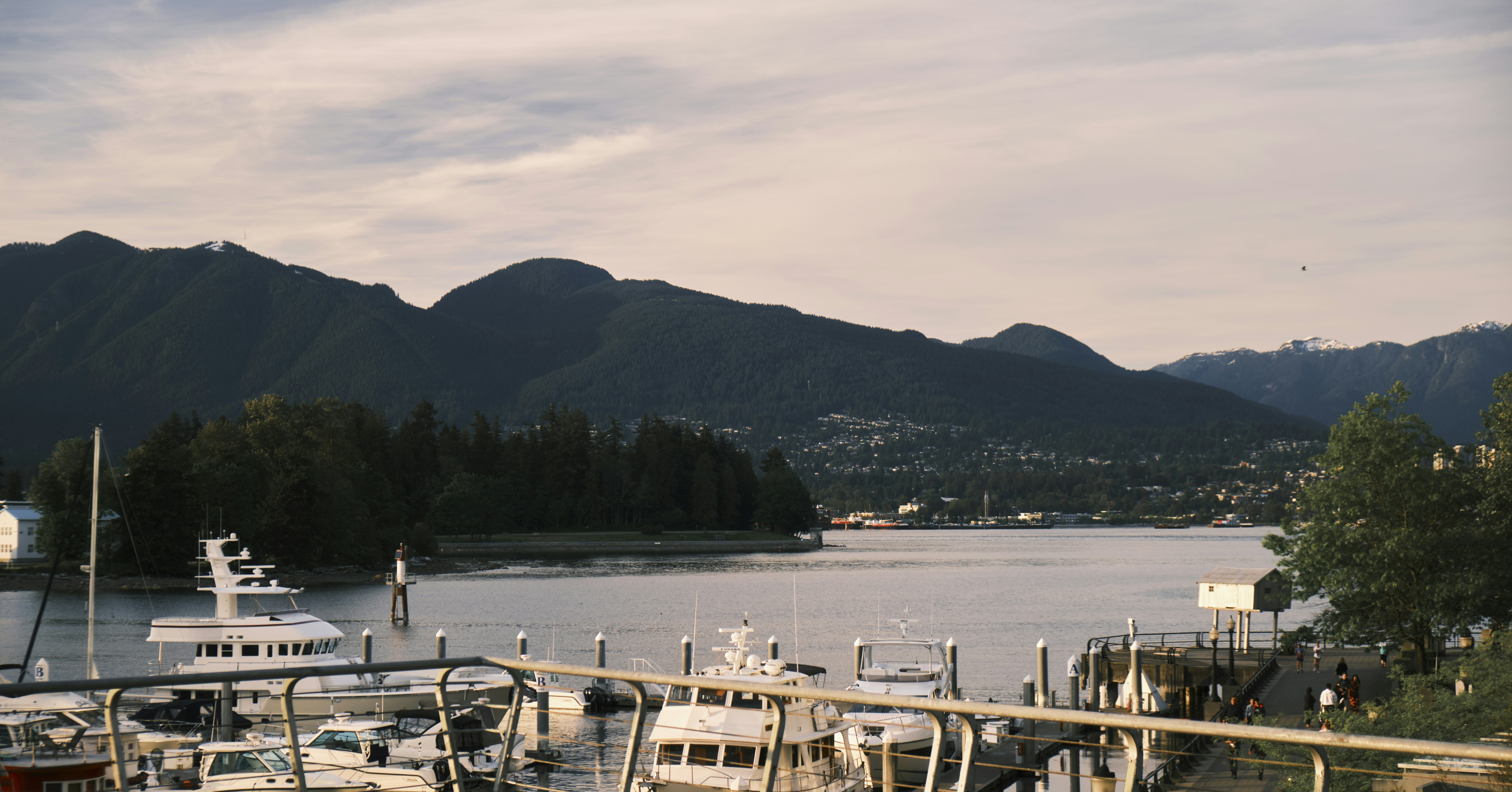 Photo by luan_nguyen_3