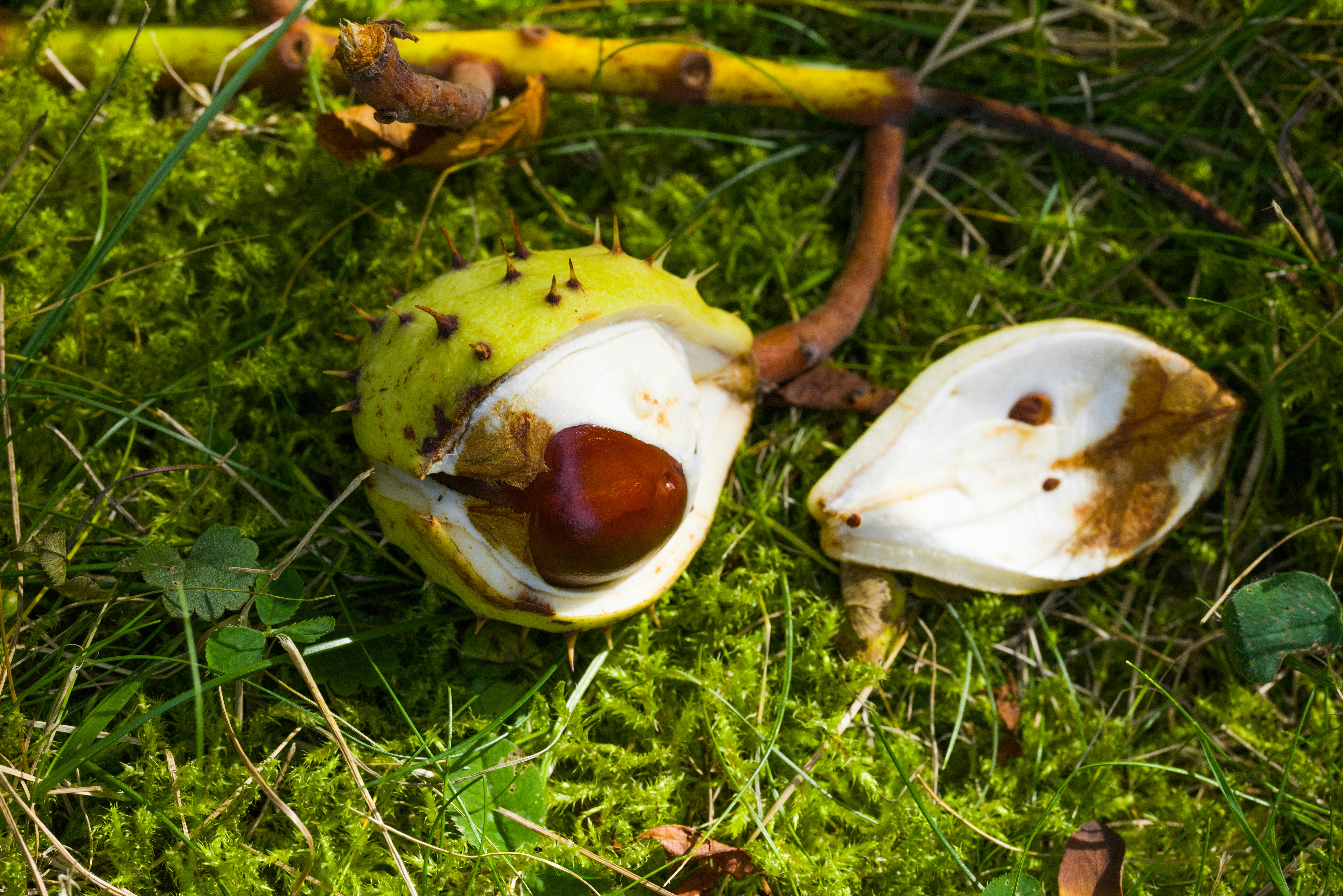 Photo by georgeiermann