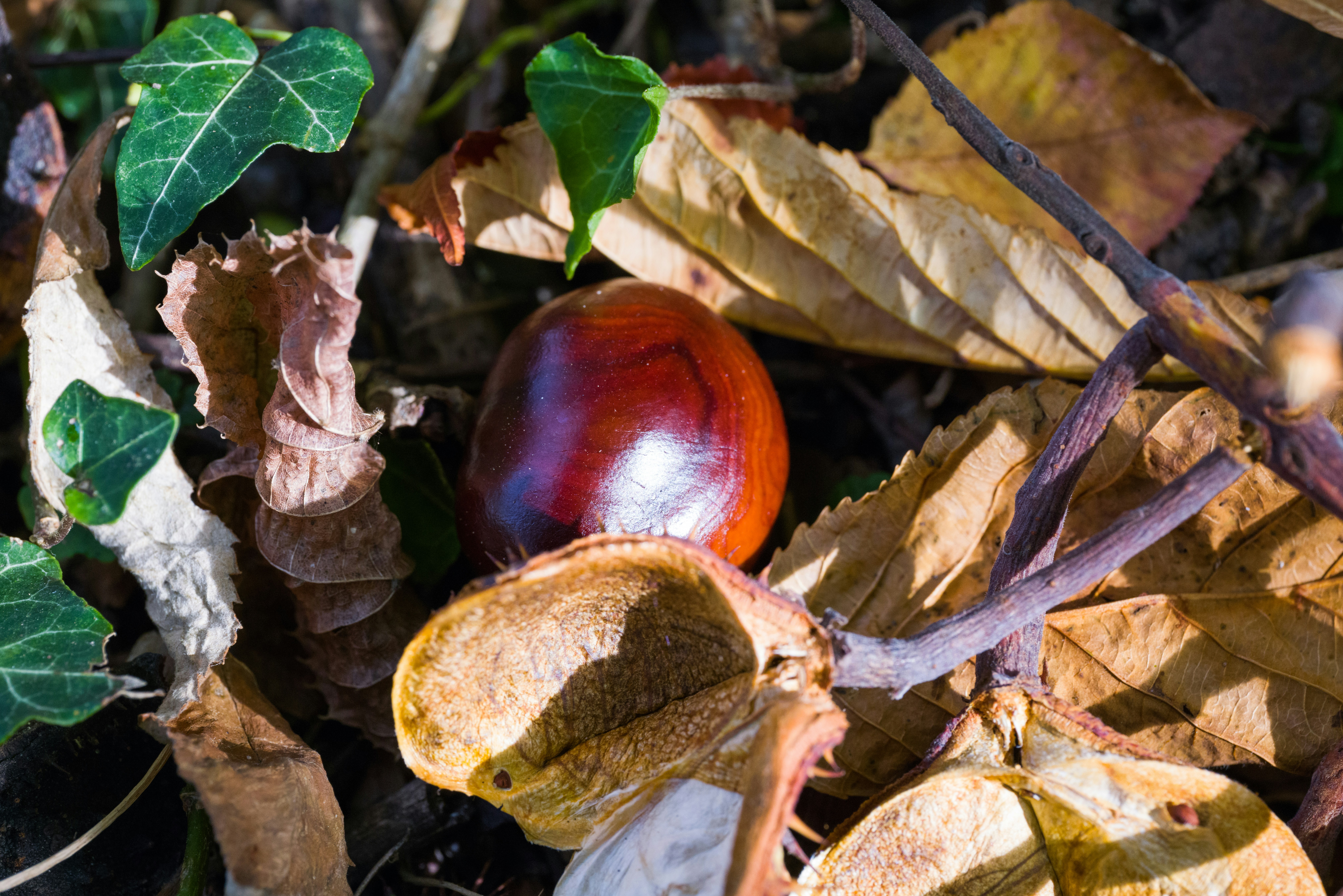 Photo by georgeiermann