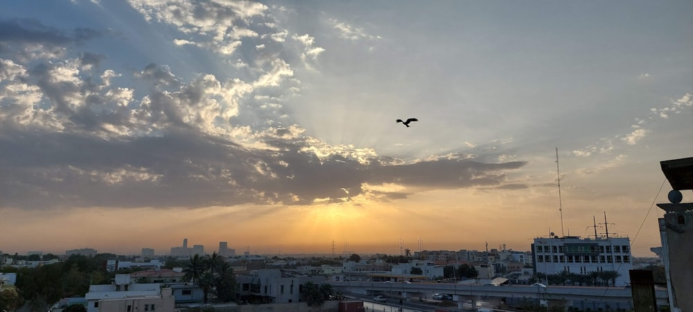 a bird flying over a city under a cloudy sky