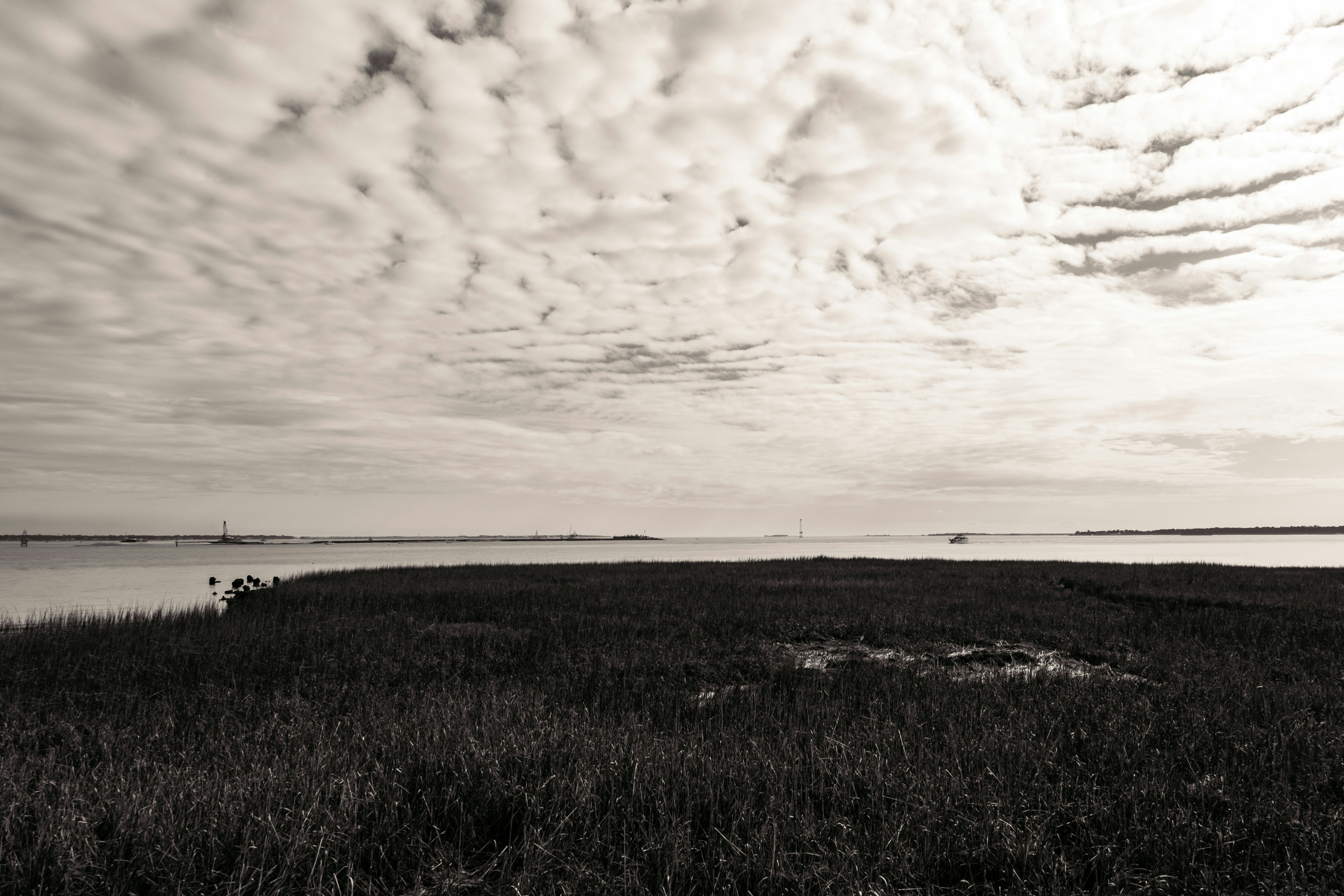 Photo by rosemarymedia