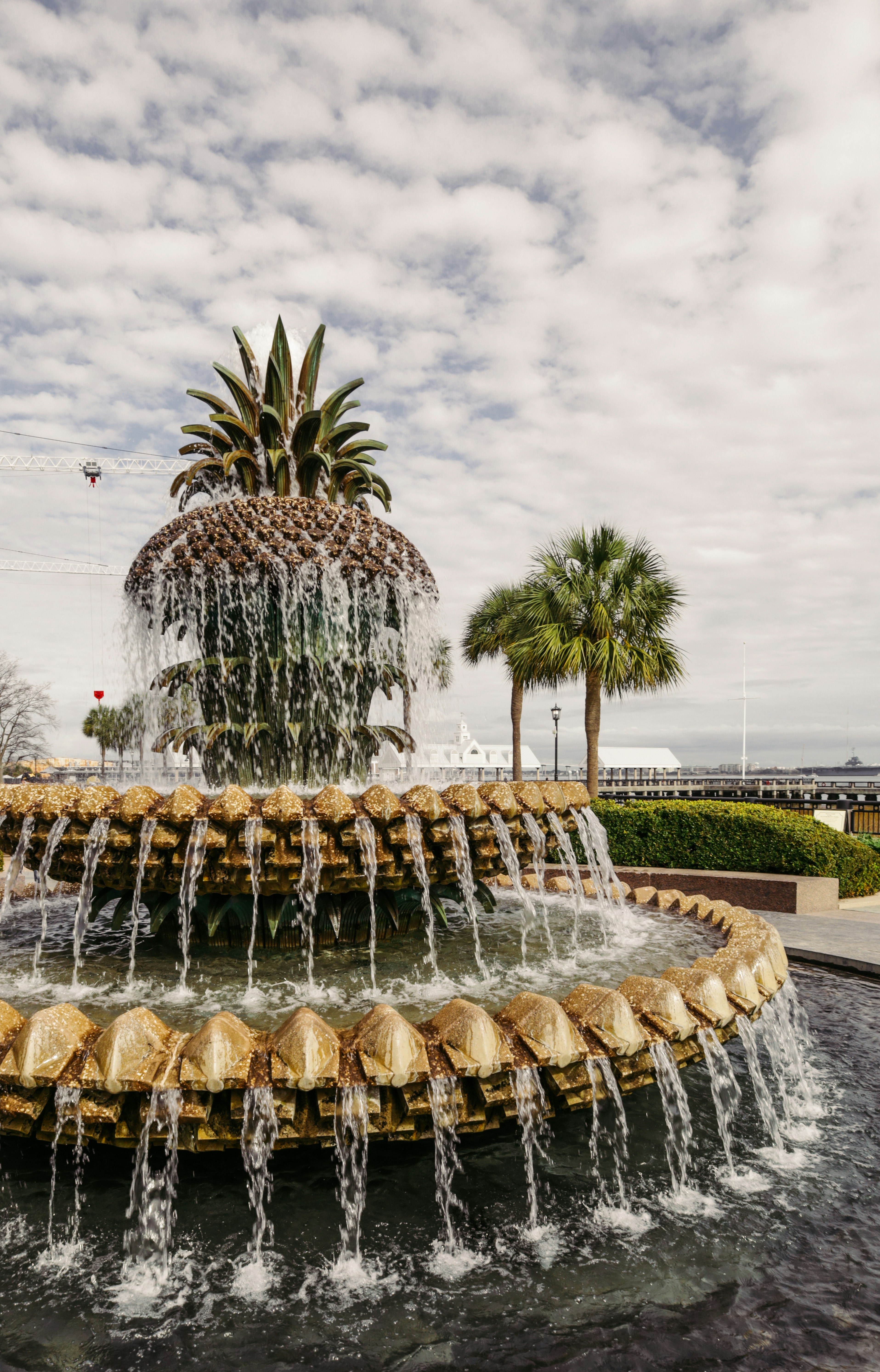 Photo by rosemarymedia