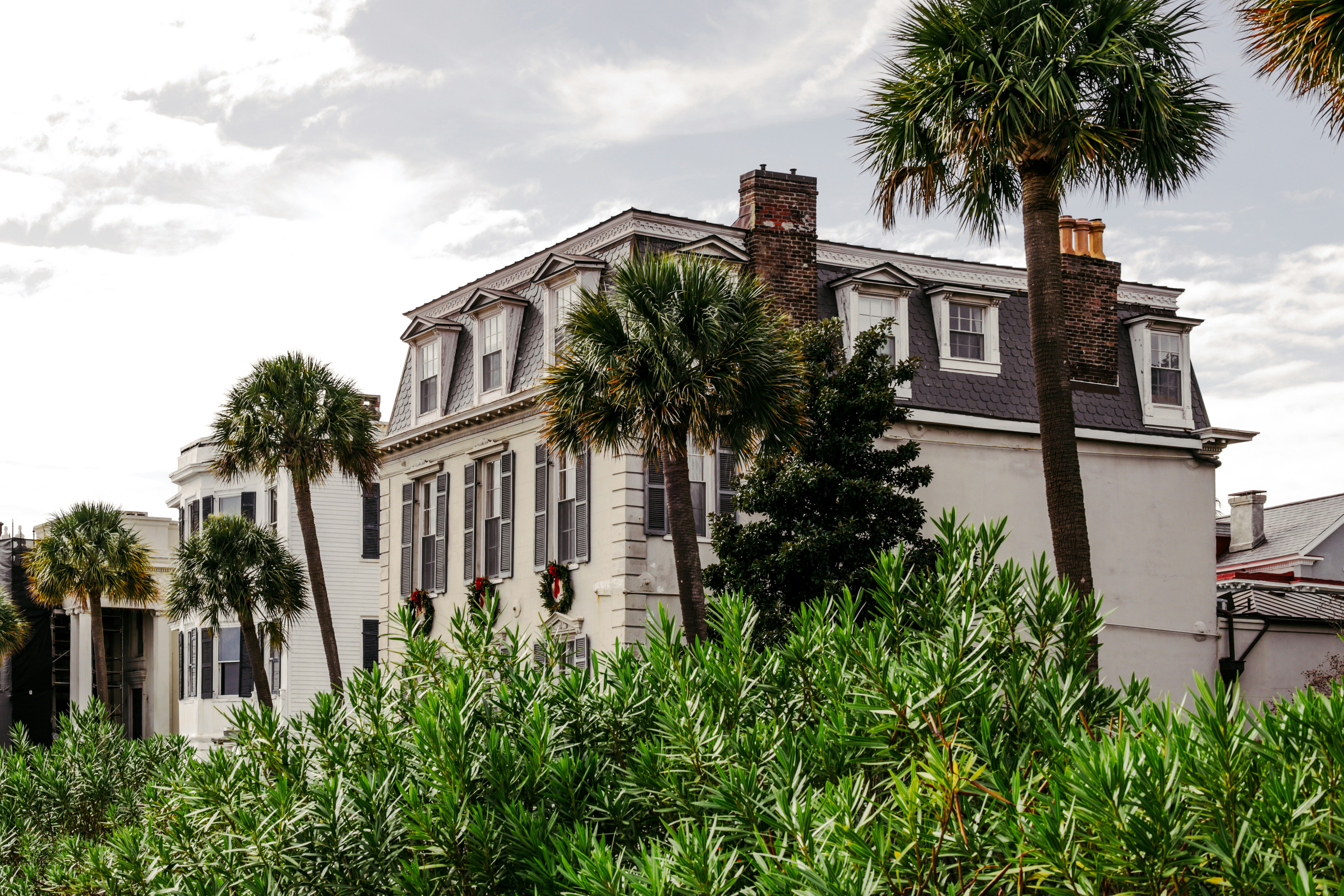 Photo by rosemarymedia